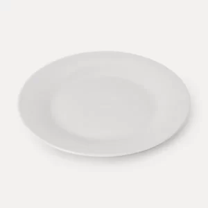 Dinner plates